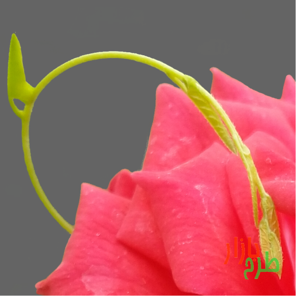 طرح دوربری شده گل رز قرمز با ساقه نیلوفر