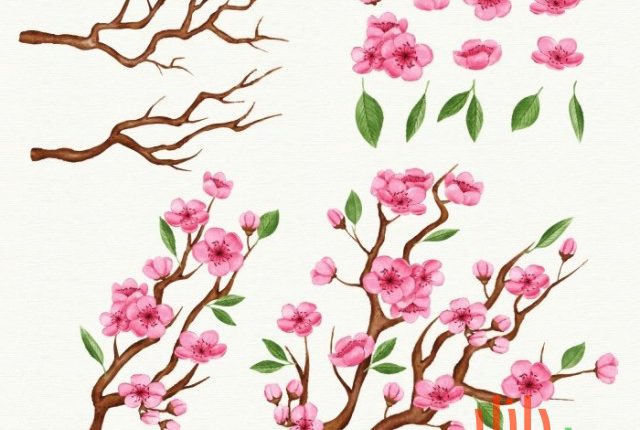 وکتور شاخه‌های گیلاس