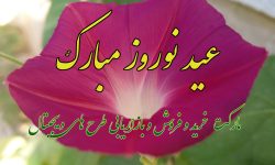 IMG_20200320_132849